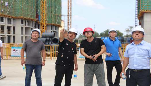 意昂2官网董事会巡检圆满完成